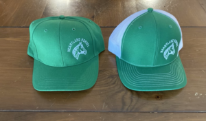 green hheal ht